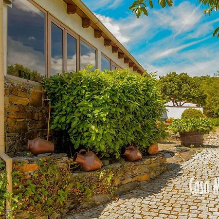 Casa Machado Pensionat Bragança Exteriör bild
