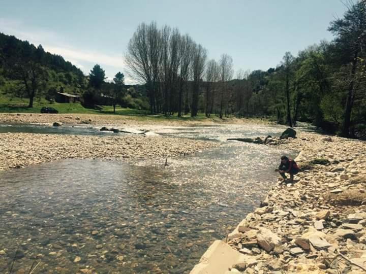 Casa Machado Pensionat Bragança Exteriör bild